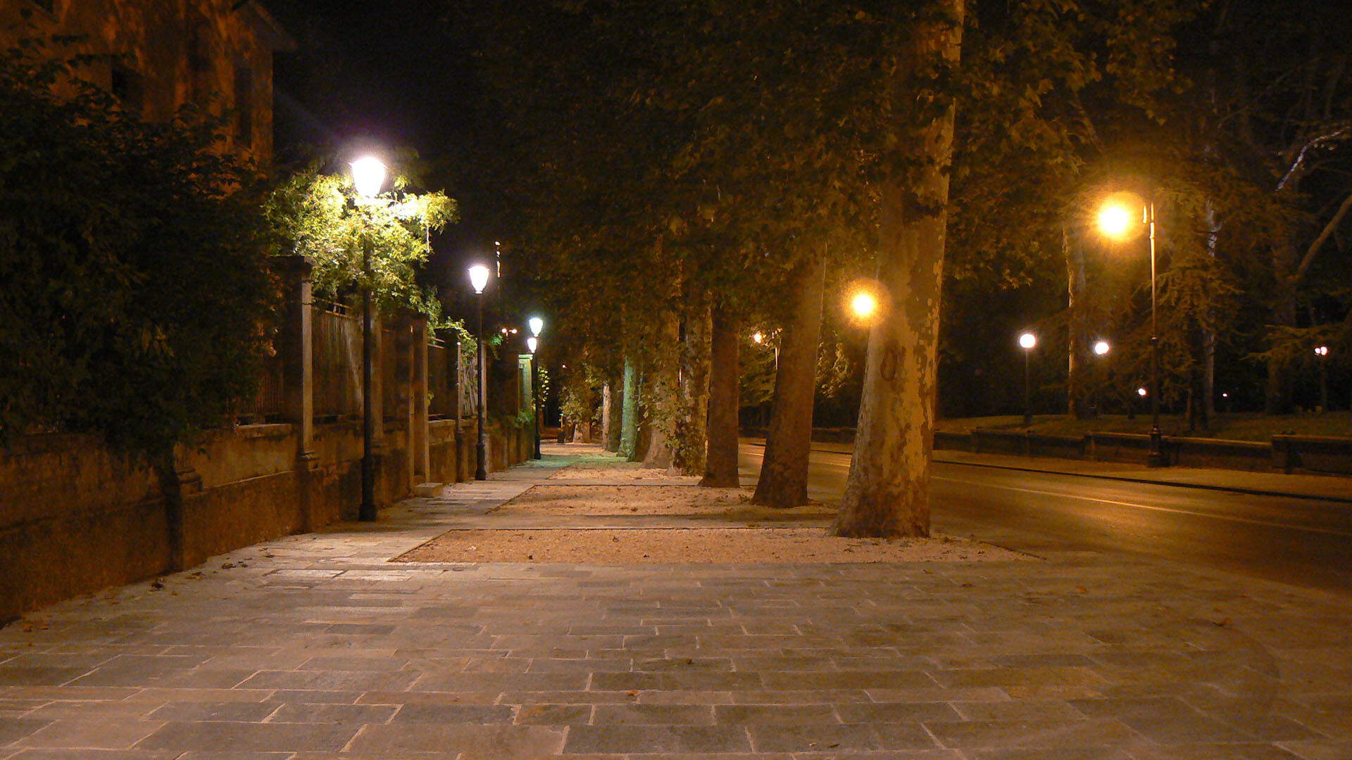 Riqualificazione Viale Allegri
