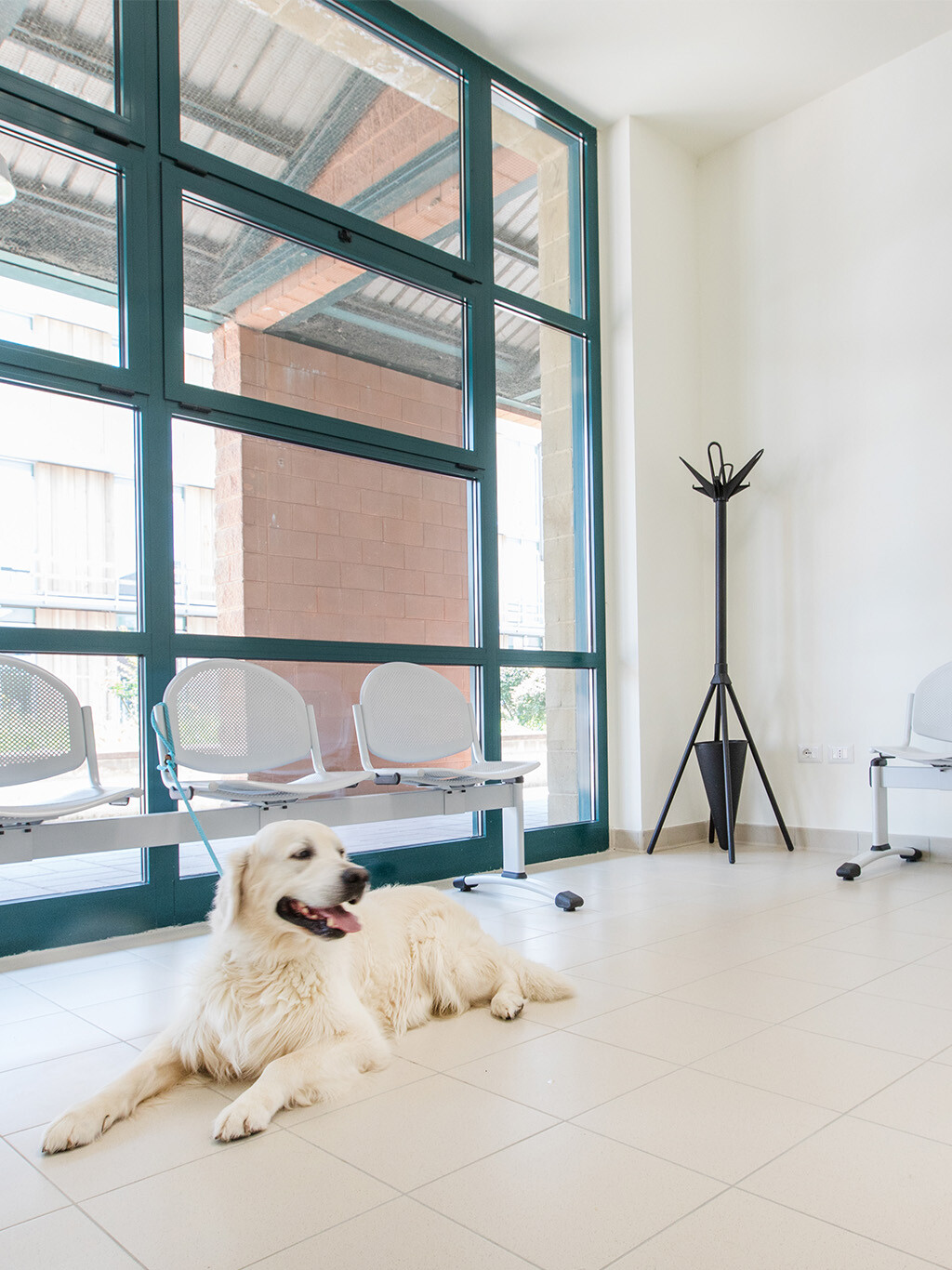 Ospedale Veterinario Universitario per Piccoli Animali