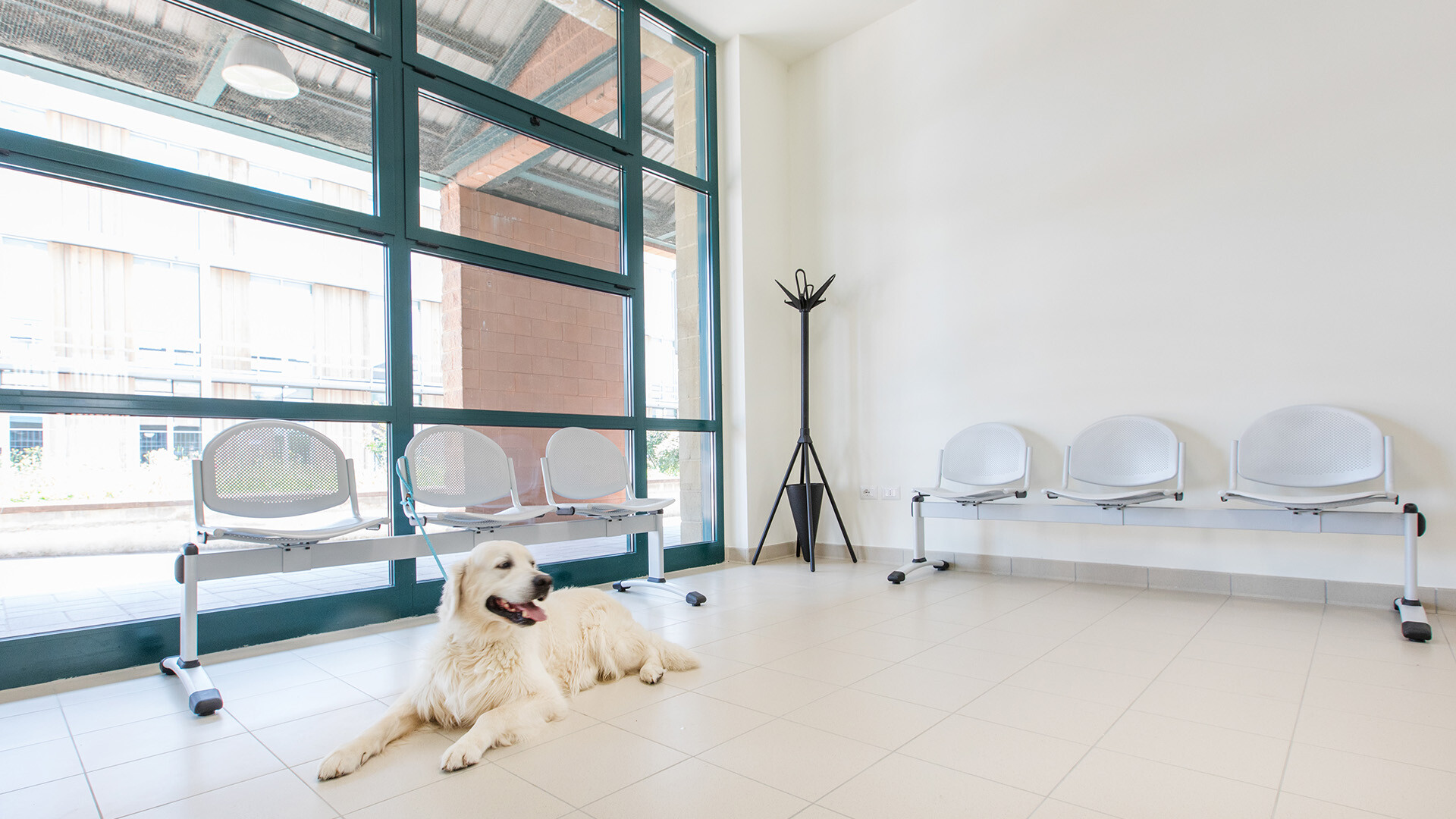 Ospedale Veterinario Universitario per Piccoli Animali