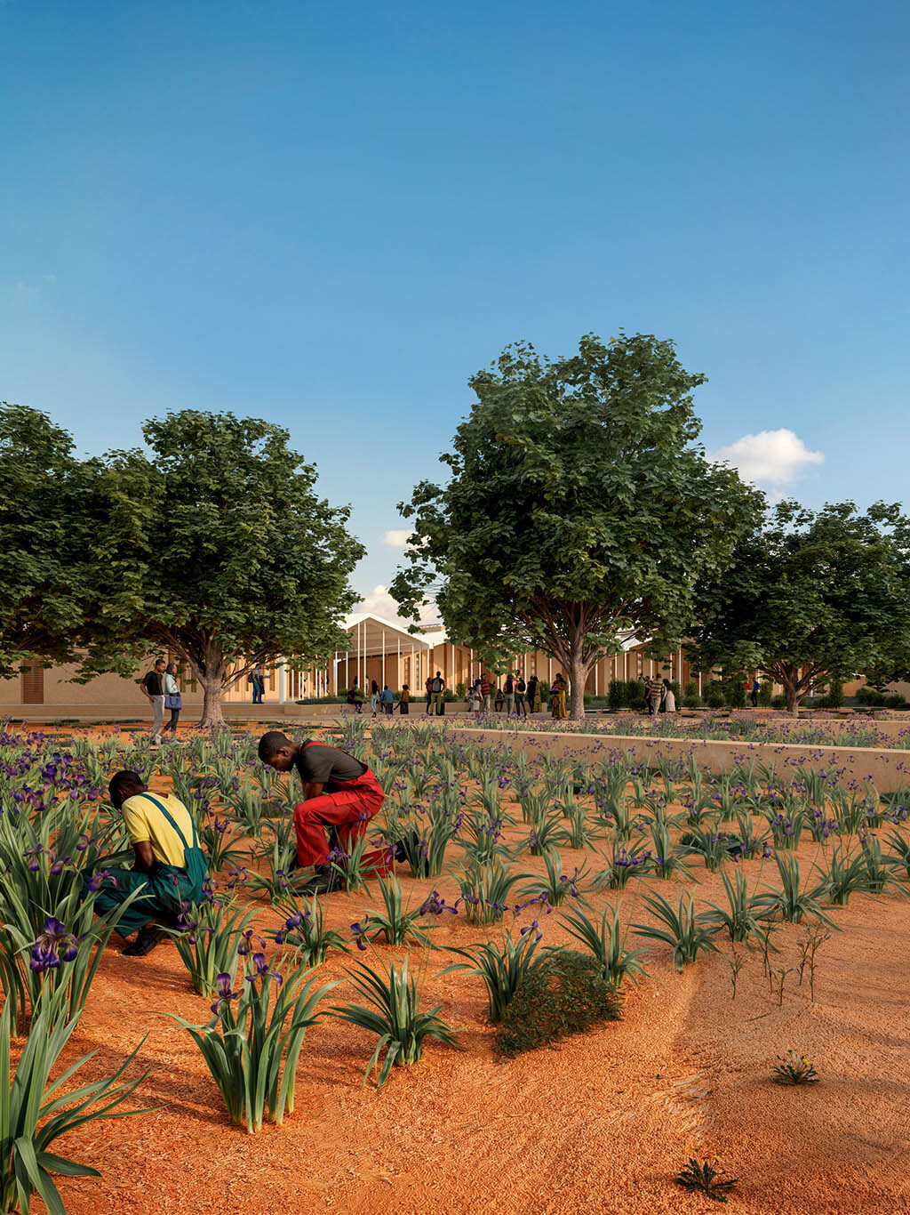 The Learning Village