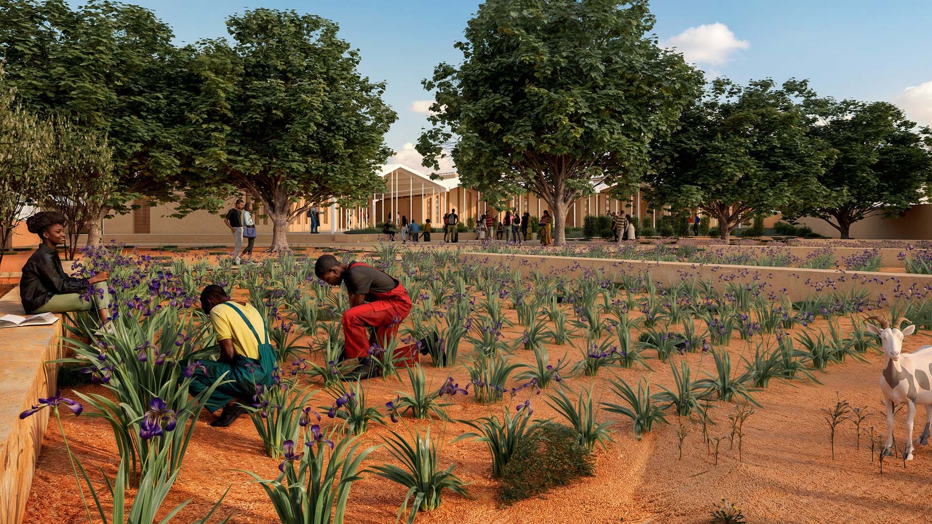 The Learning Village