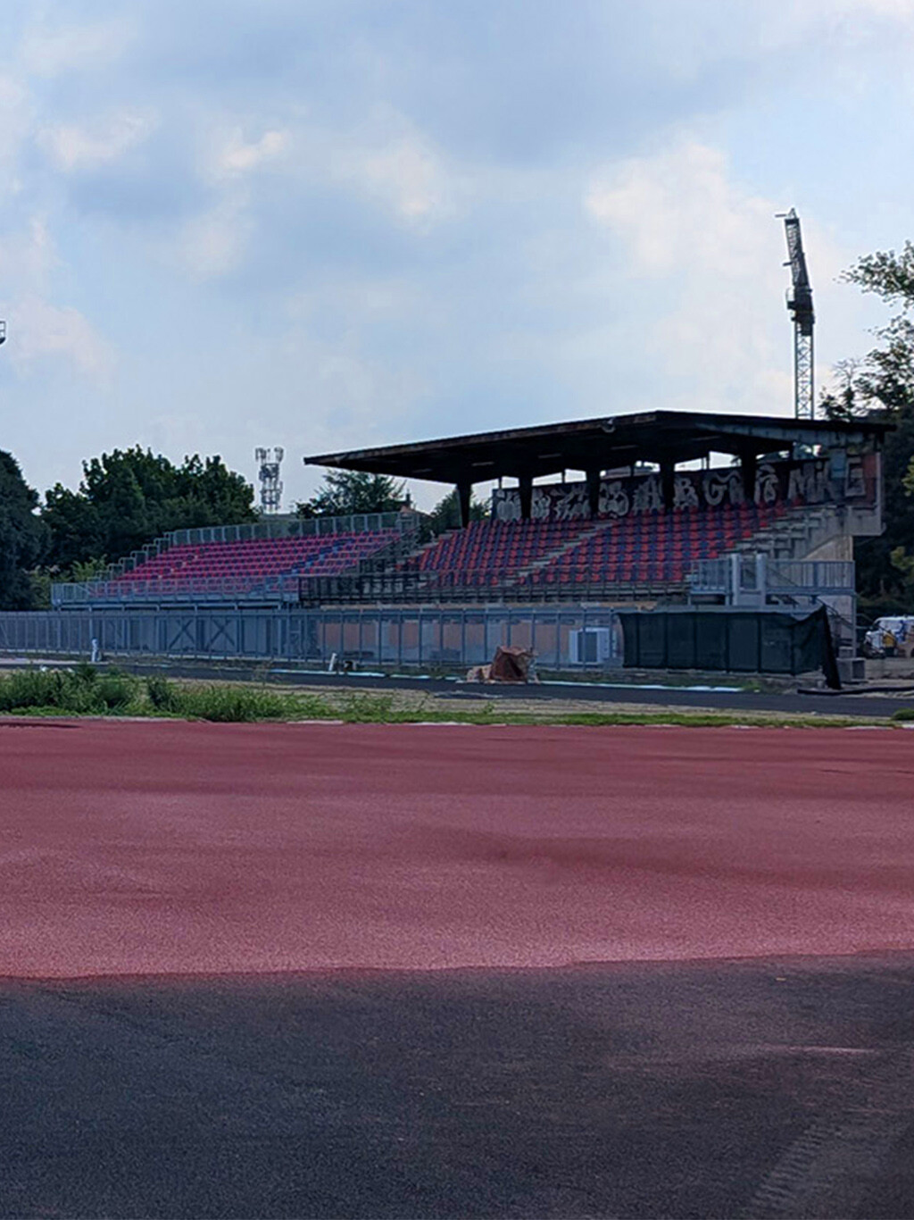 Pista di atletica a Bologna: il rinnovo dell’Antistadio